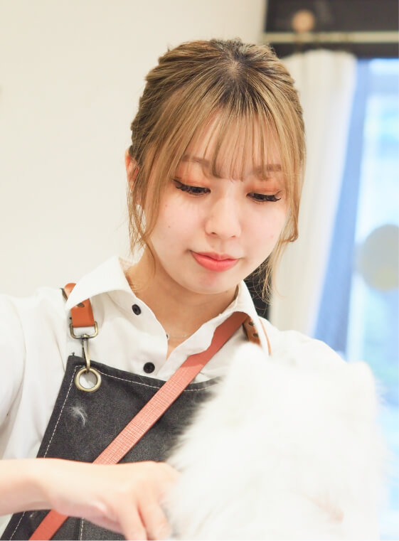 活躍する卒業生のイメージ